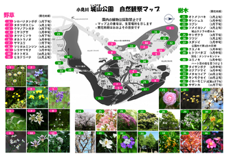 小見川城山公園自然観察マップA4サイズ