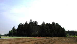 九美上地先に現存する野馬込跡