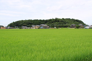 神道山古墳群