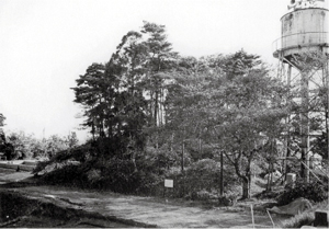 城山4号墳近景（1993年調査時撮影）