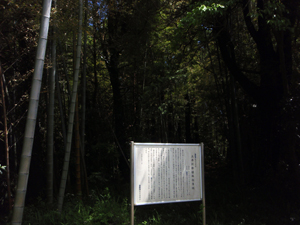 土井利勝植林指導地