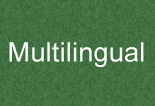 MultiLingual