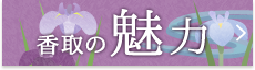 香取の魅力