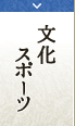 文化　スポーツ