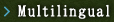 Multilingual