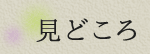 見どころ