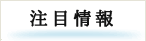 注目情報