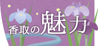 香取の魅力