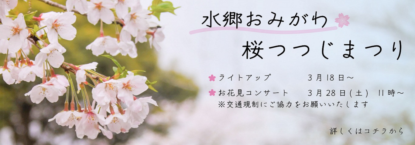 水郷おみがわ桜つつじまつり