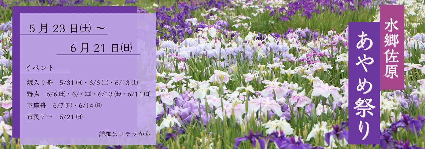 水郷佐原あやめ祭り