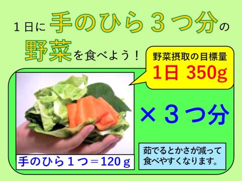 手のひら3つ分の野菜を食べると、1日に必要な量が摂れます。