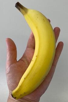 バナナの目安は中位1本分、皮付きで150グラム前後です。