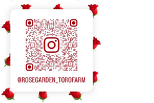 みんなの食堂&nbsp;栗源&nbsp;コミュニティスペース&nbsp;ローズガーデンTORO&nbsp;FarmのInstagram