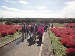 国営ひたち海浜公園での健康ウォーキングの写真