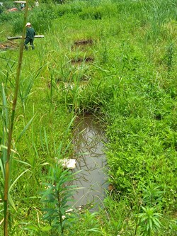 地域環境美化活動を実施しました。