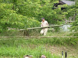 草刈り隊のようす。