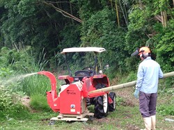 活動のようす。