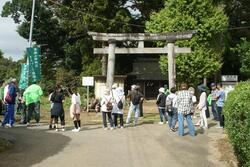 ウォーキングのようす。