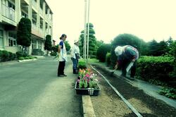 花壇つくりを実施しました。