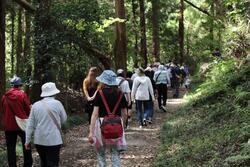 第11回健康ウォーキング大会を開催しました。