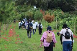 令和の杜への坂。