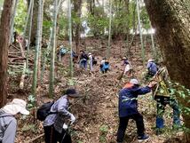 ウォーキング大会の写真その2　竹林の急坂を登る