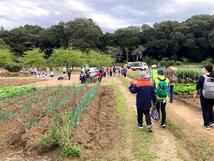 ウォーキング大会の写真その3　森山城址に到着