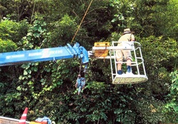 活動のようす。