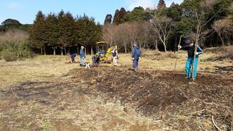城址の環境整備（2015年、桜植樹）の写真