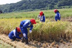 慣れない手つきで頑張りました。