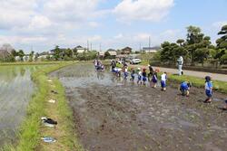 小見川北小学校の4～6年生が参加しました