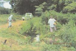 和泉地区にて。