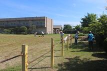 旧大倉小学校の草刈り写真1枚目
