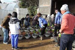 鉢を並べている様子