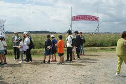 休憩場所のコスモス畑のようす