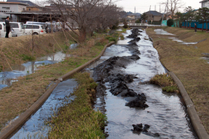 2011年3月11日 川底が隆起した十間川