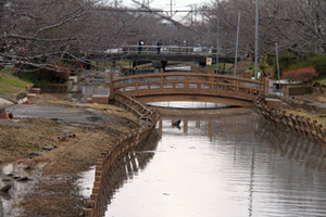 2011年3月11日 護岸が崩れた十間川