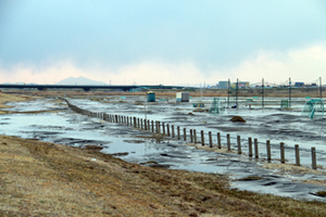 2011年3月11日 佐原河川敷にも大きな危害が2