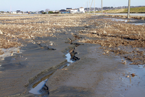 2011年3月12日 液状化現象により田んぼも隆起1