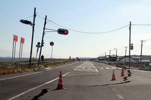 2011年3月12日 小見川大橋堤防沿い2