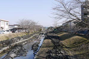 2011年3月13日 十間川もドロが取り除かれる