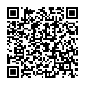 指定乗降場所マップ（横断ルート）