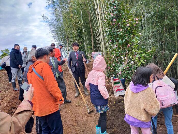 椿植樹