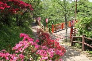 水郷おみがわ桜つつじまつり 香取市ホームページ