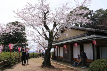 小見川城山公園 香取市ホームページ