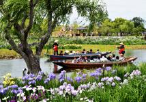 Suigo Sawara Ayame Park - Boat Ride