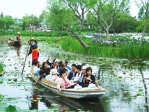 舟でゆく水郷佐原水生植物園