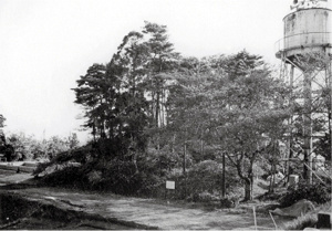 城山4号墳近景(1993年調査時撮影)