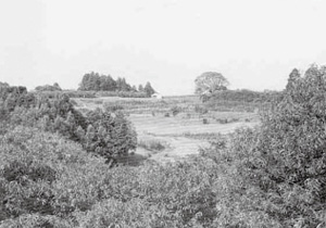 貝塚遠景(平成3年撮影)