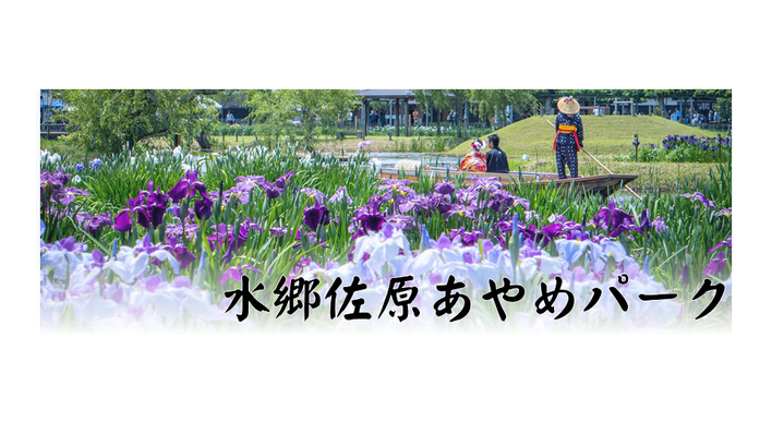 水郷佐原あやめパーク